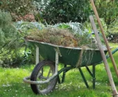 Renovación Verde: Guía Paso a Paso para Restaurar tu Jardín