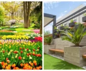 Diseño de Jardines Temáticos: Creando Ambientes Especiales en tu Hogar