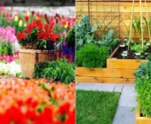 Jardinería Sostenible: Cultiva un Jardín Eco-Amigable